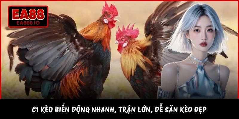 C1 kèo biến động nhanh, trận lớn, dễ săn kèo đẹp 