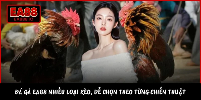 Đá gà EA88 nhiều loại kèo, dễ chọn theo từng chiến thuật 