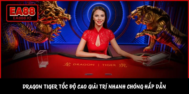 Dragon Tiger tốc độ cao giải trí nhanh chóng hấp dẫn